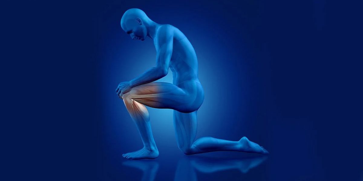 Menisküs Yırtığı Nedir?